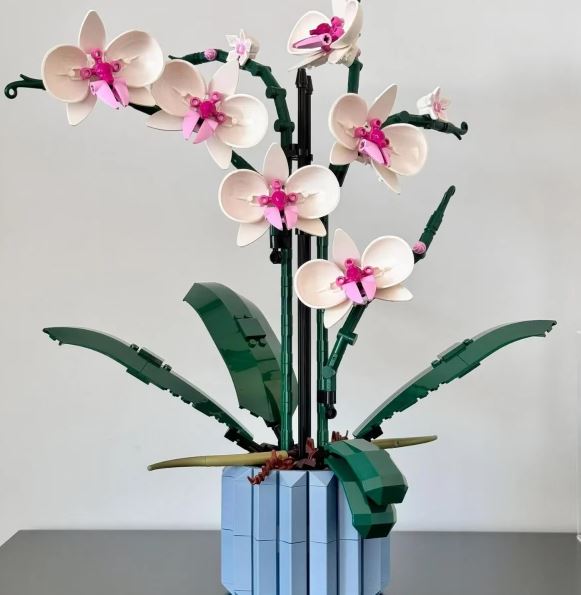 Kit Orchidée DIY – Créez votre fleur artificielle pas à pas