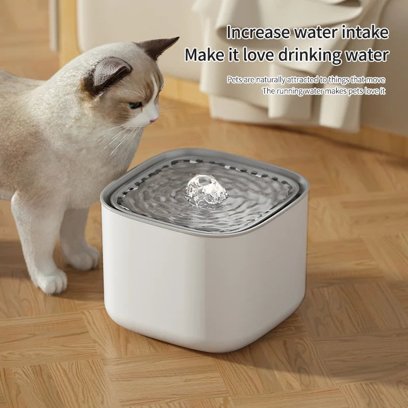 🐱 Ton chat ne boit pas assez ? Voici la solution 💧