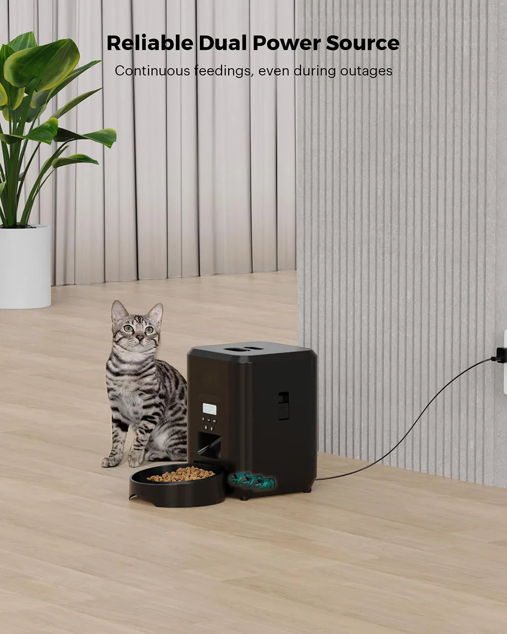 🐶 Distributeur automatique de croquettes connecté 📱🐾