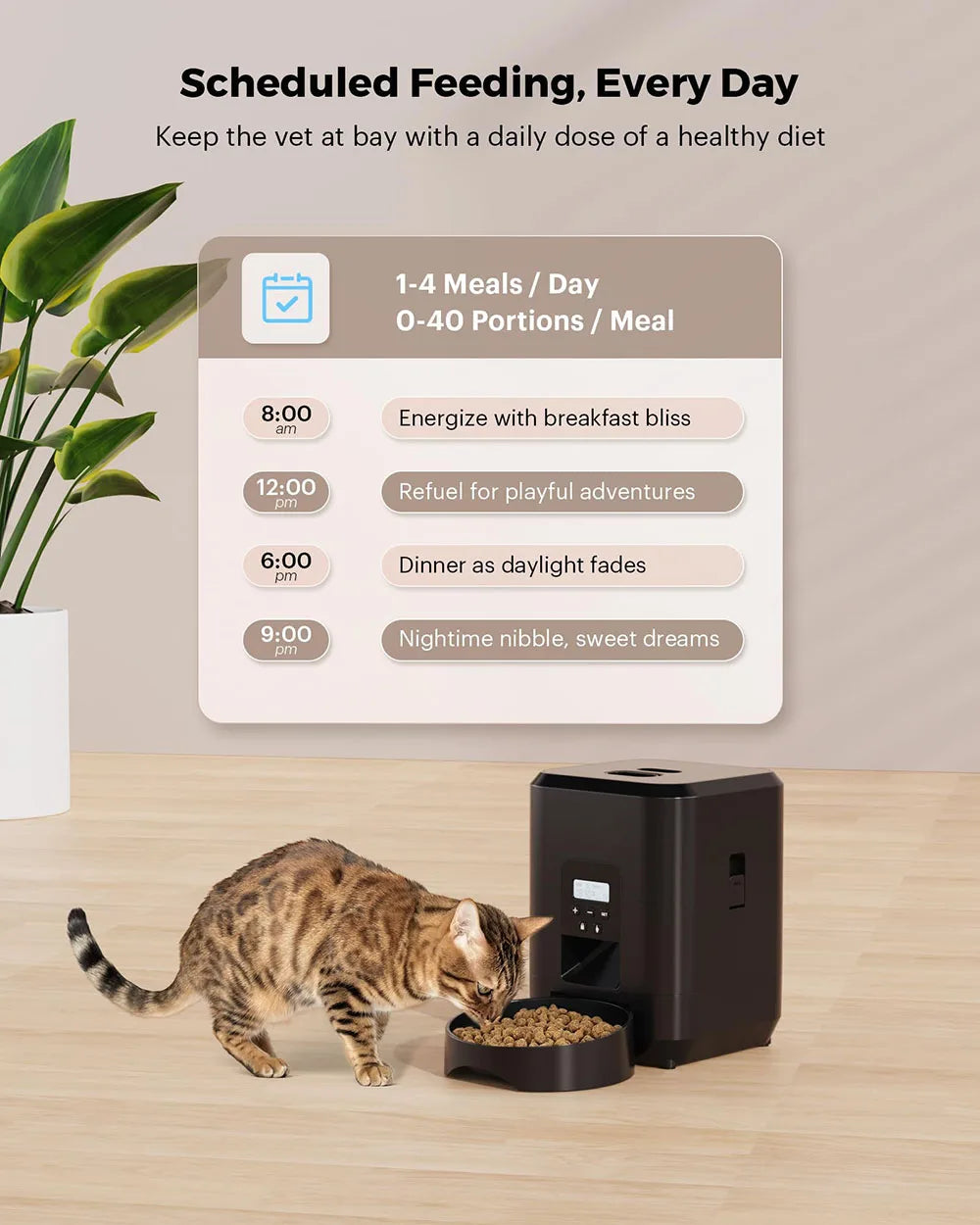 🐶 Distributeur automatique de croquettes connecté 📱🐾