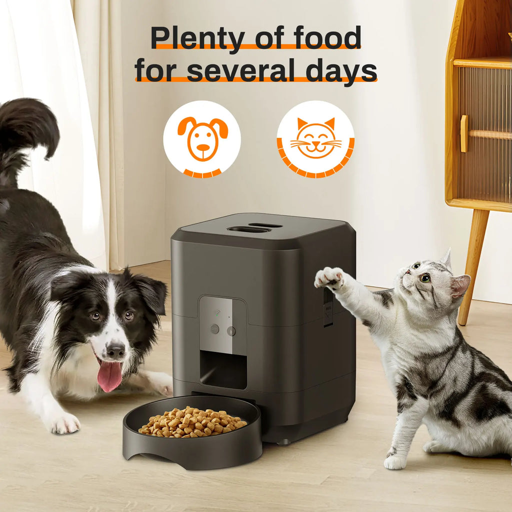 🐶 Distributeur automatique de croquettes connecté 📱🐾