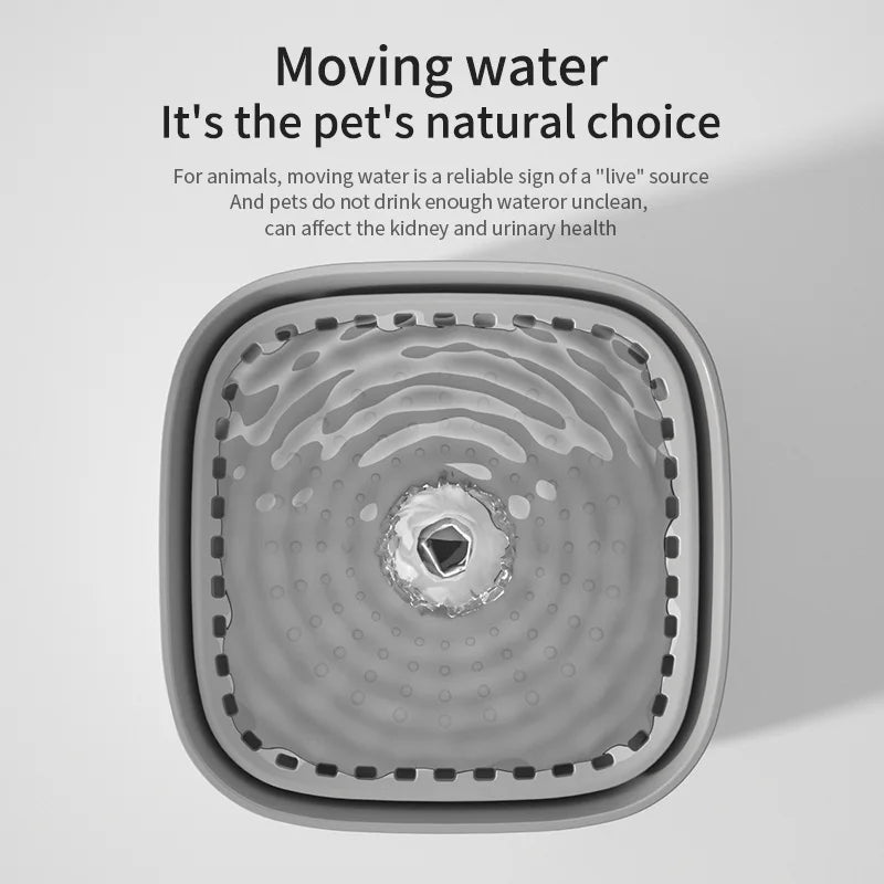 🐱 Ton chat ne boit pas assez ? Voici la solution 💧