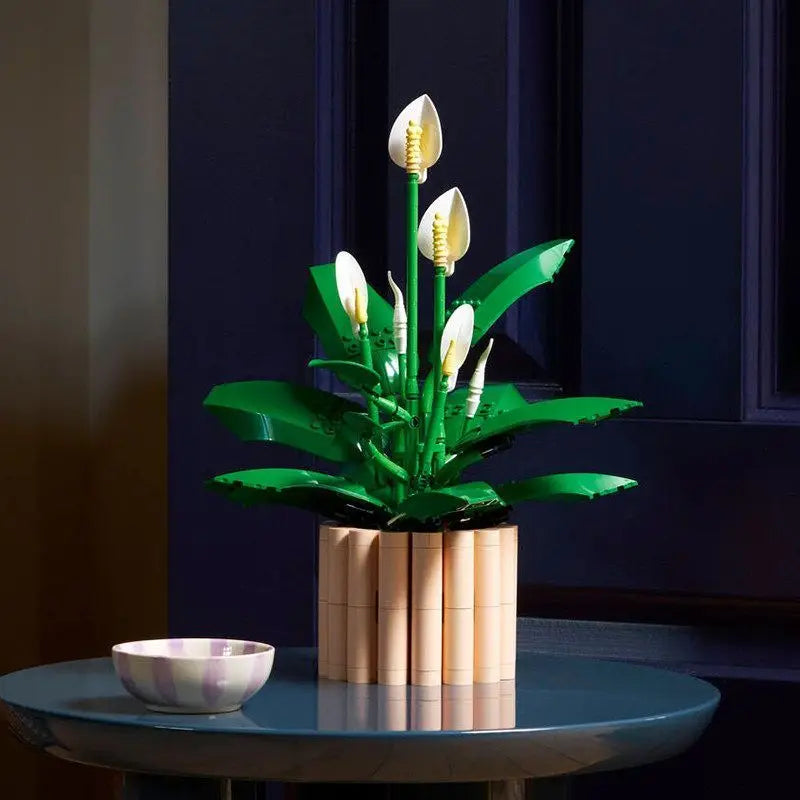 🌸 Créez votre fleur pas à pas