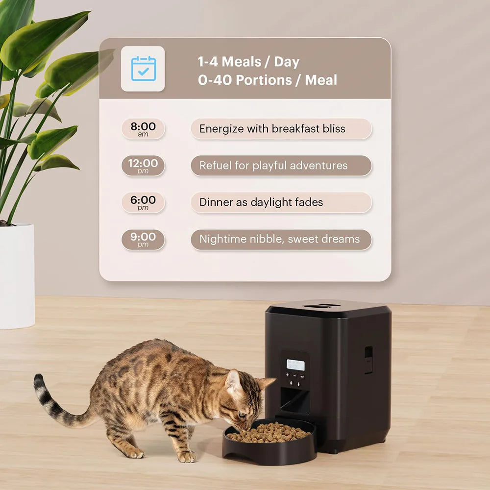 🐶 Distributeur automatique de croquettes connecté 📱🐾