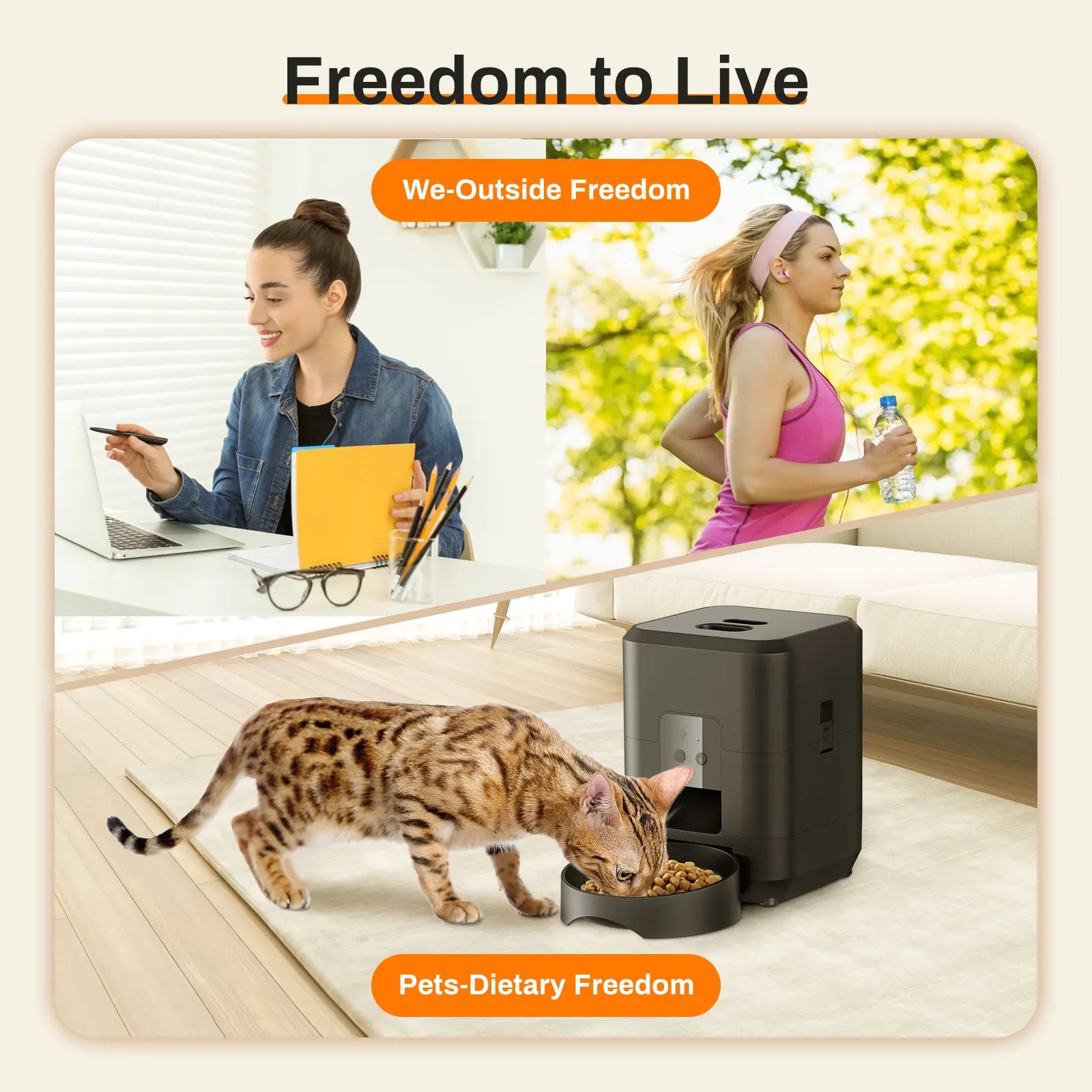 🐶 Distributeur automatique de croquettes connecté 📱🐾