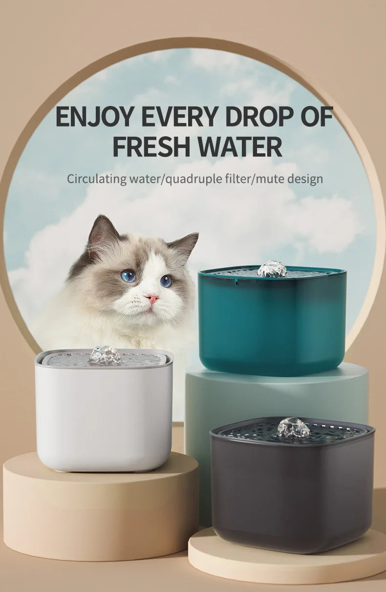 🐱 Ton chat ne boit pas assez ? Voici la solution 💧